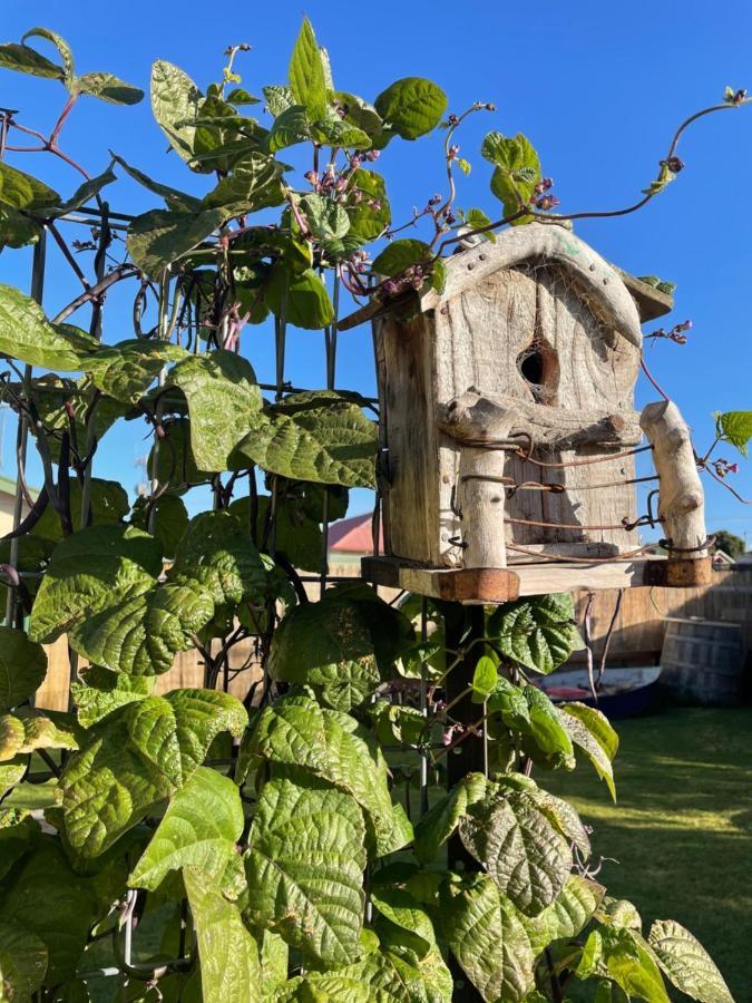Ki Dragonfly Guest house Kingscote